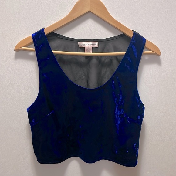 Crushed Velvet Crop - Picture 1 of 3